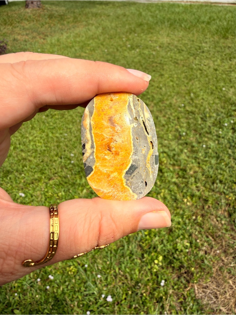 Bumblebee Jasper Palm Stone